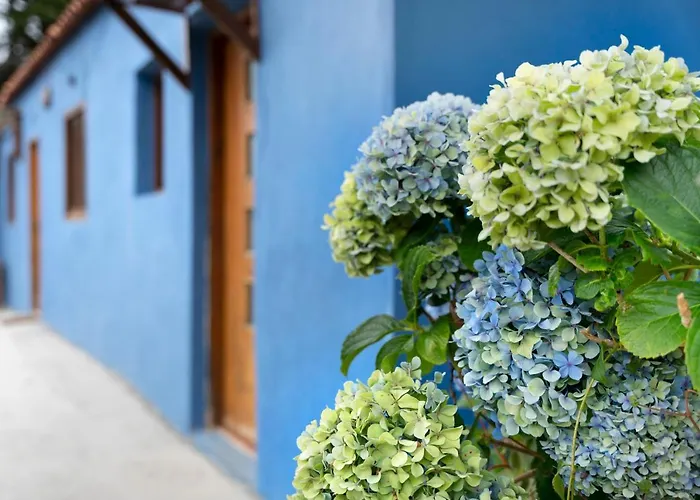 Casa Azul Del Roque Negro 木屋