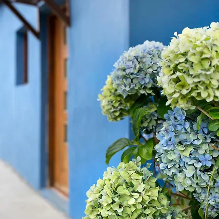 Casa Azul Del Roque Negro Alpehytte